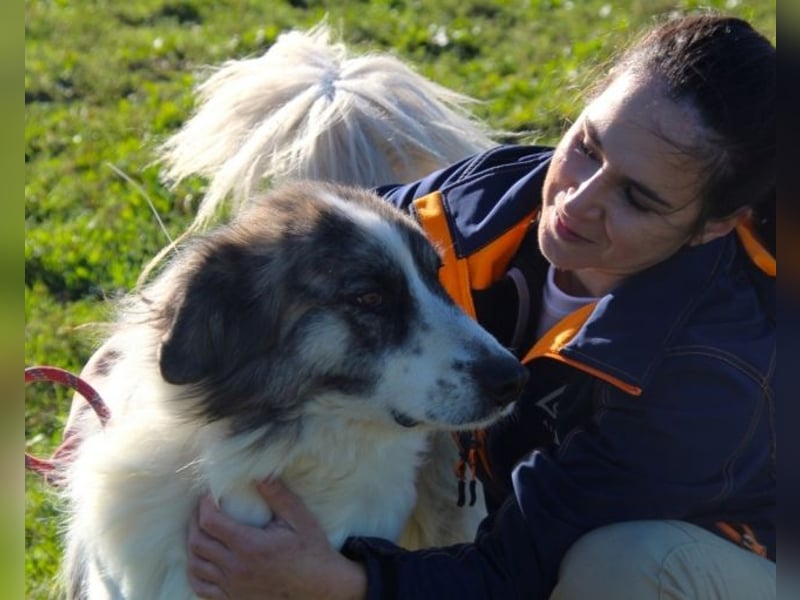 Poncio - wird zum Musterschüler
