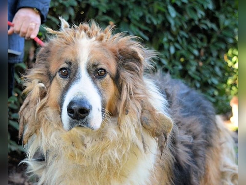 Kito - Irgendwas das bleibt