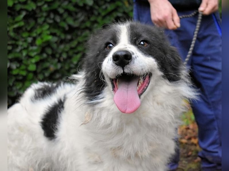 Rezart - Zusammen ist man weniger alleine