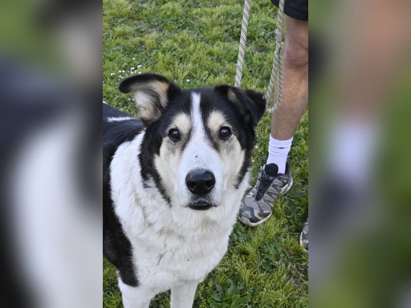 Giangy - Ich hätte da noch Kapazitäten frei