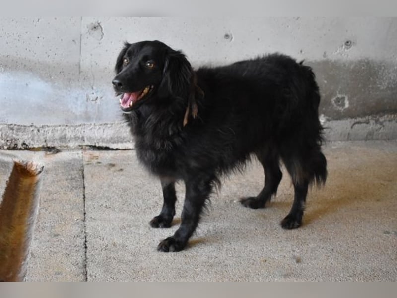 Kael - Nur ein einziges mal die Chance auf Leben