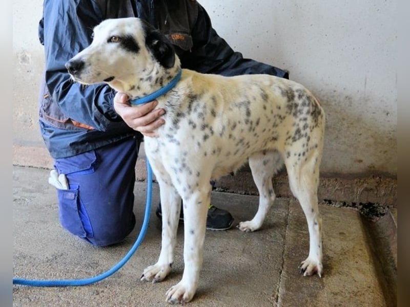 Arleene - ist voll bedingungsloser Liebe