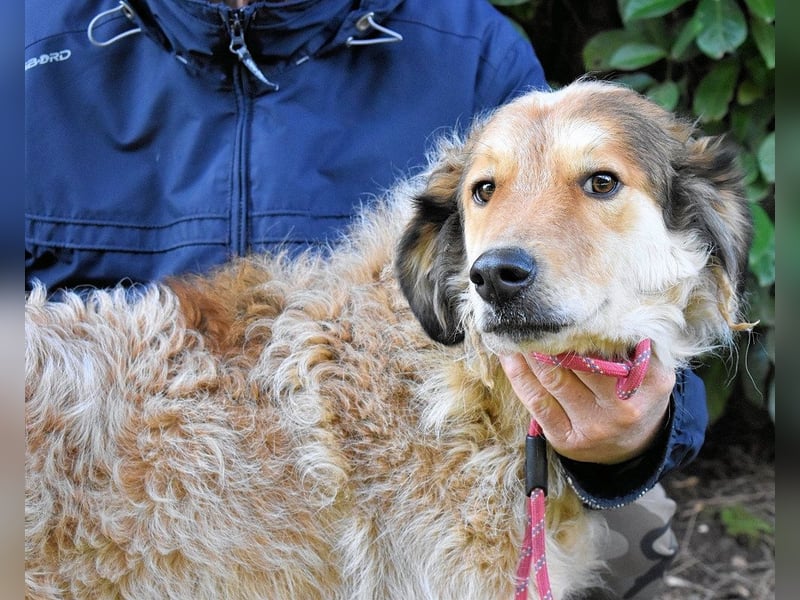 Ligorio - Zwölf, elf, zehn ... eins - Ligorio