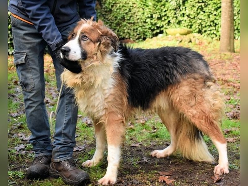 Kito - Irgendwas das bleibt