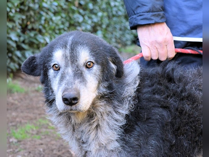 Declan - Irgendwie, irgendwo, irgendwann?