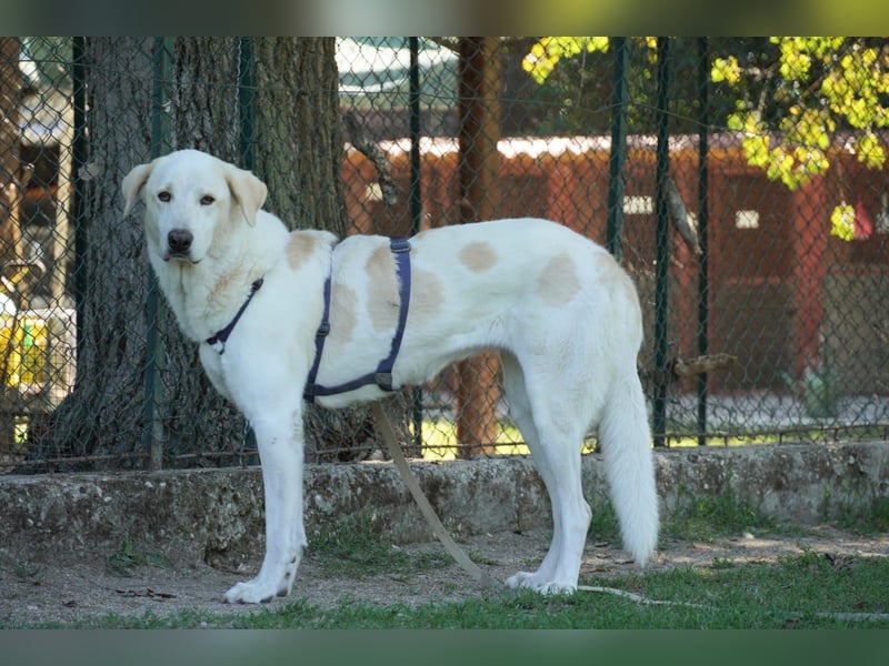 Clara - Wenn du es uns doch erzählen könntest