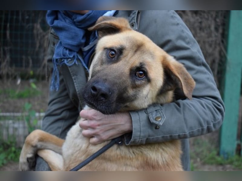 Anthaniel - Groß genug für "Wow" - zu charmant für "Weiter".