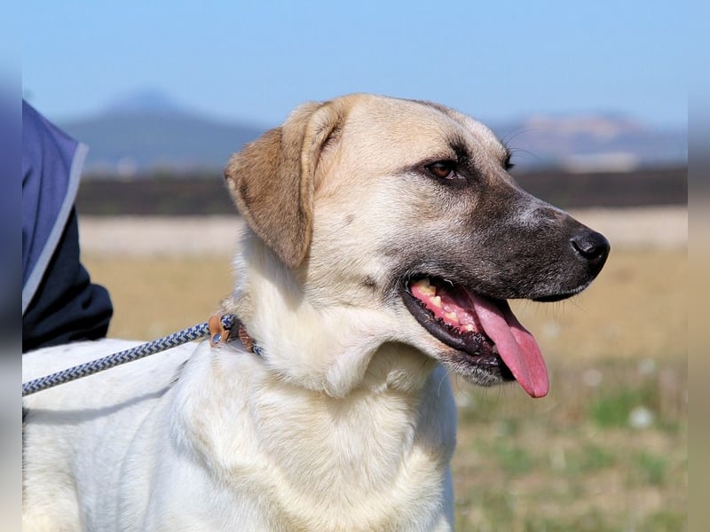 Skitter - Im gedimmten Licht, vor einer geschlossenen Tür
