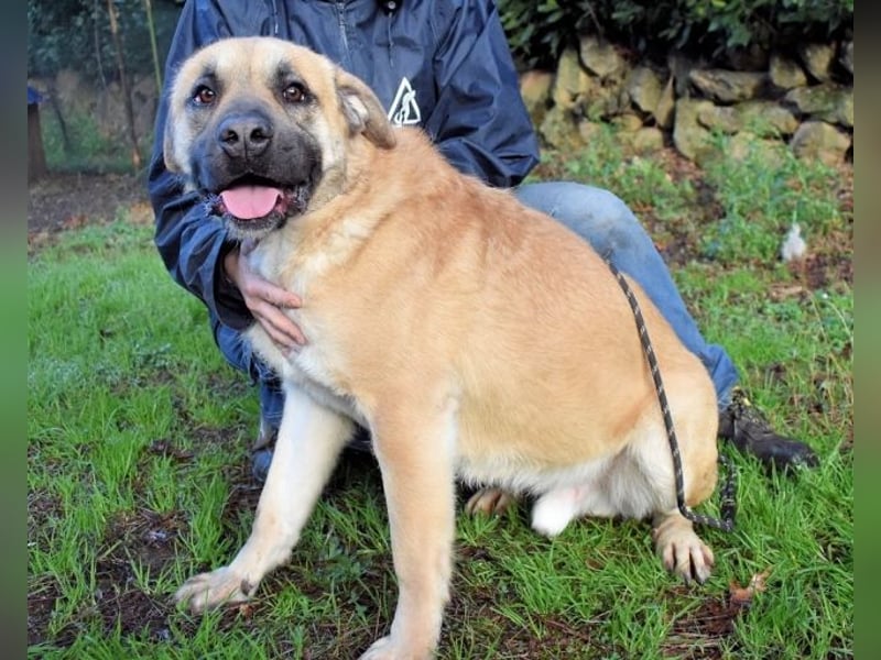 Joonas - wohin führt sein Weg?