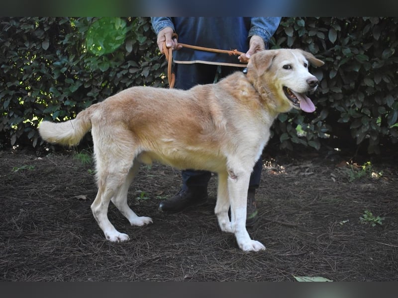 Islay - Menschenherzen-im-Sturm-Eroberer