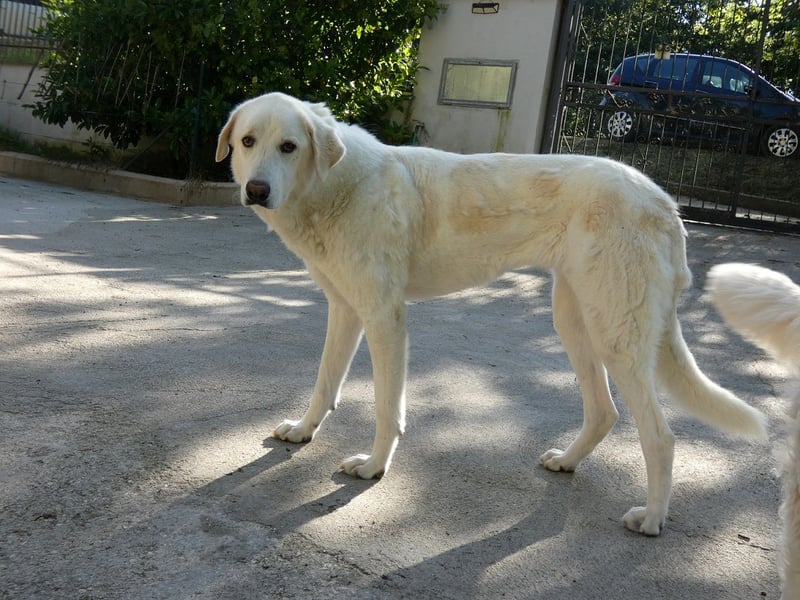 Clara - Wenn du es uns doch erzählen könntest