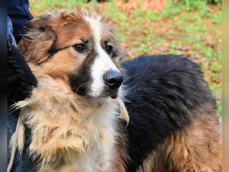 Kito - Irgendwas das bleibt