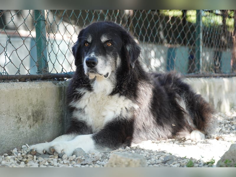 Kuno - Ein Ende in Sicht?