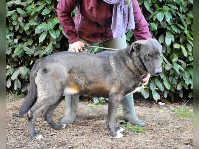 Godfried - When the night has come