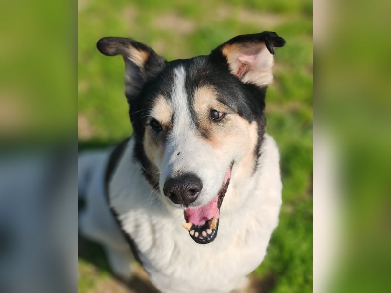 Giangy - Ich hätte da noch Kapazitäten frei