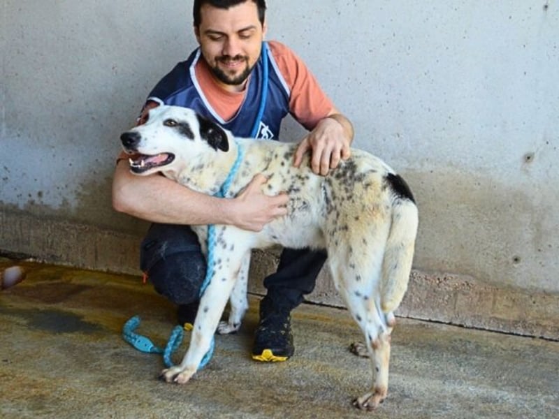 Arleene - Fachkraft für Betonpädagogik