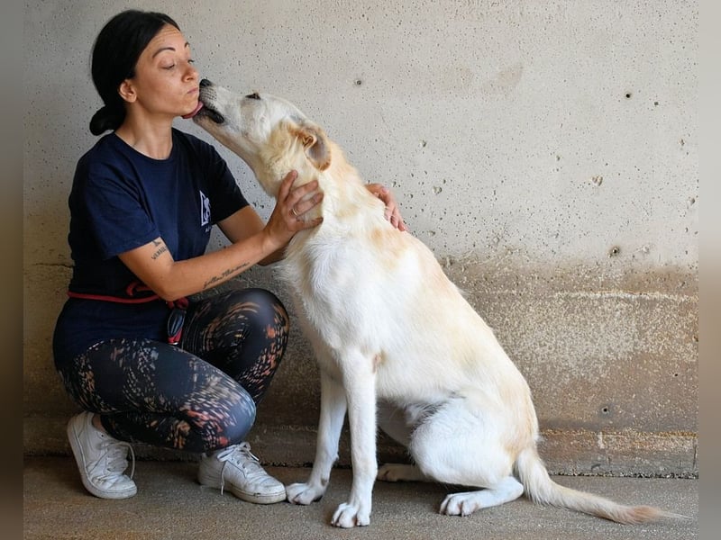 Rurik - Das geheime Feuerwerk