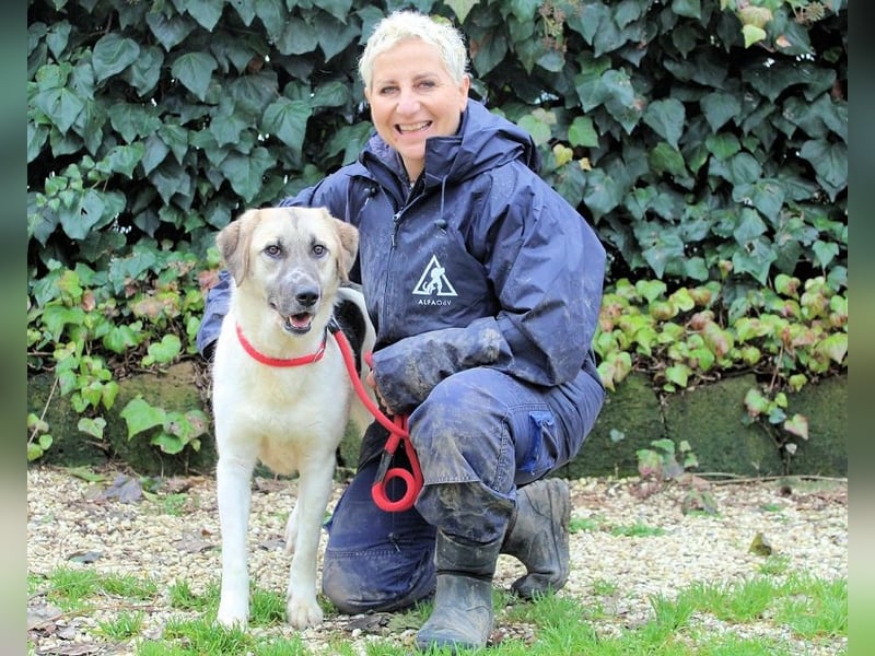 Skitter - Im gedimmten Licht, vor einer geschlossenen Tür