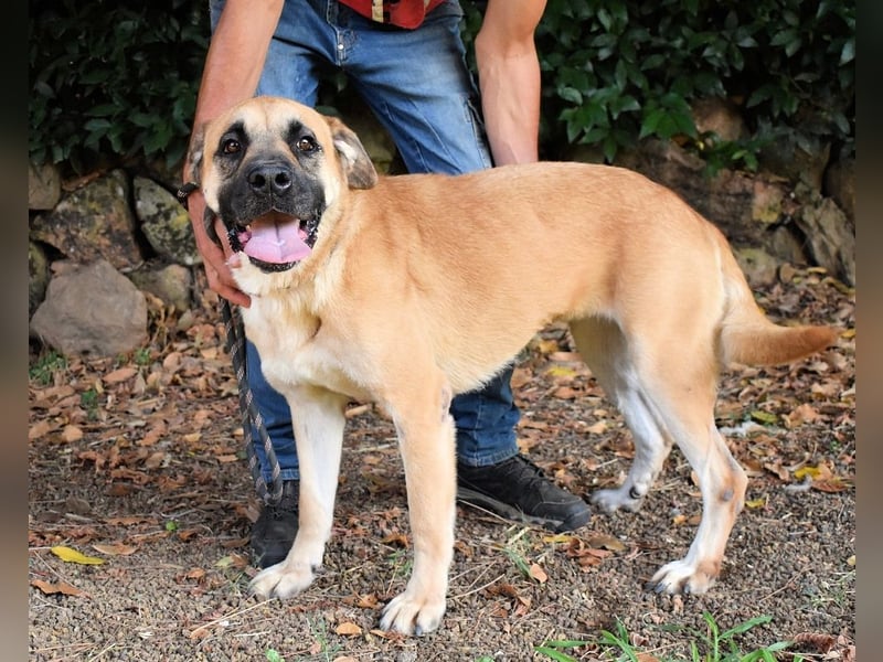 Joonas - wohin führt sein Weg?