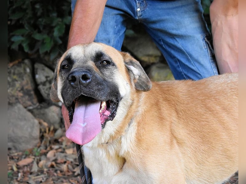 Joonas - wohin führt sein Weg?