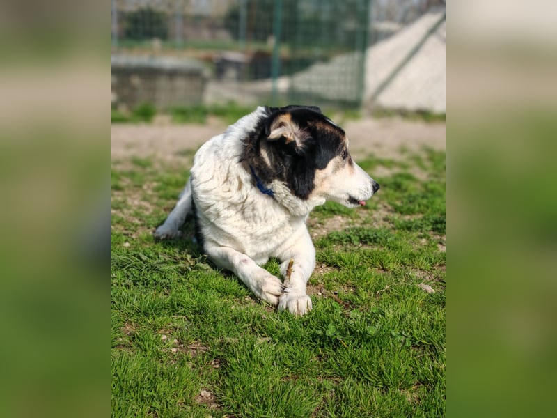 Giangy - Ich hätte da noch Kapazitäten frei