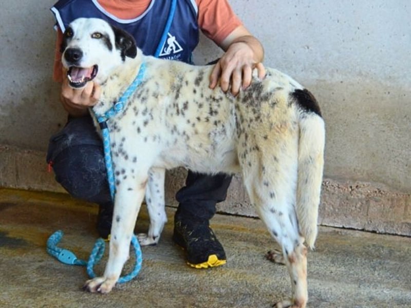 Arleene - ist voll bedingungsloser Liebe