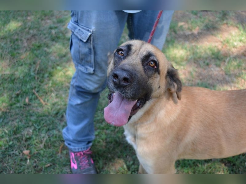 Adhara - Möchte ihre Energie versprühen