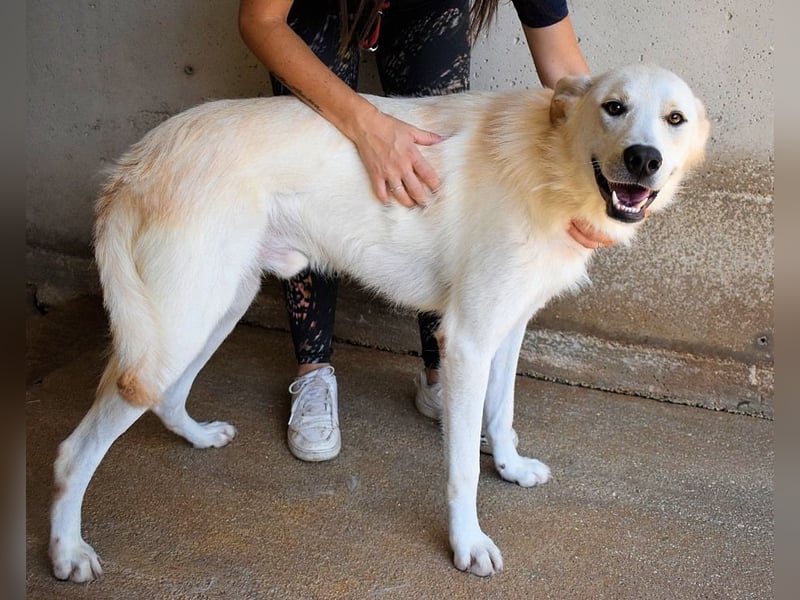 Rurik - Das geheime Feuerwerk