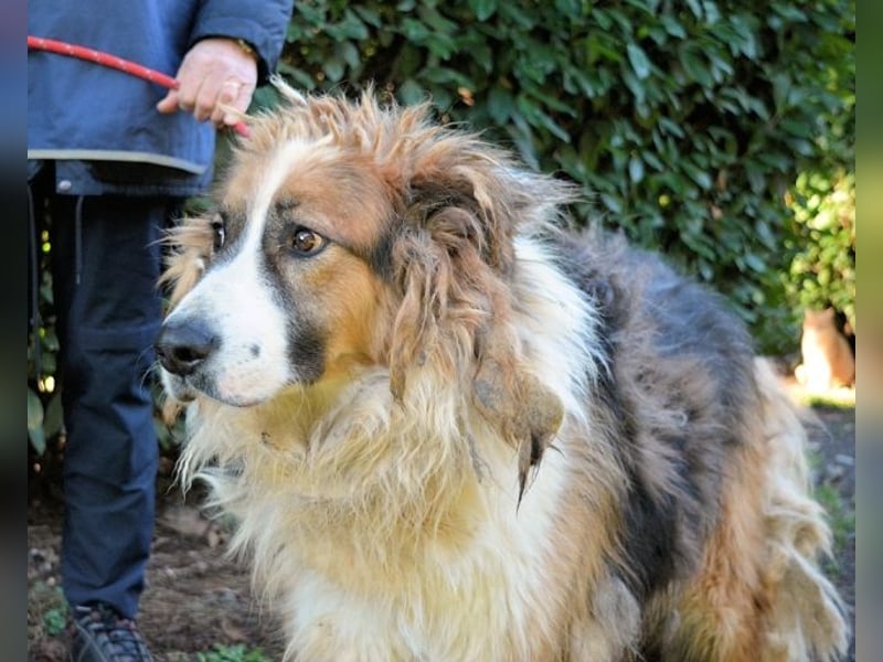 Kito - Irgendwas das bleibt