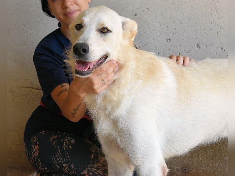 Rurik - Das geheime Feuerwerk