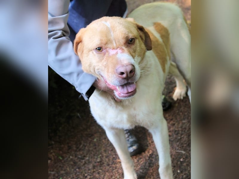 Jamison - möchte glücklich sein