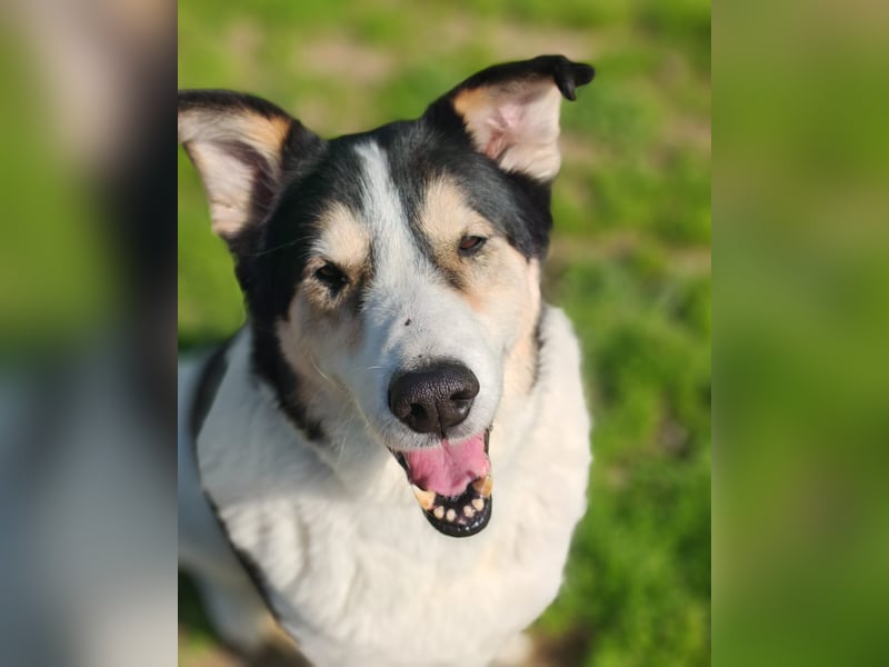 Giangy - Ich hätte da noch Kapazitäten frei