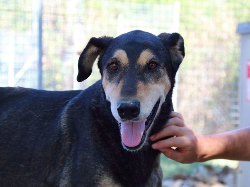 Esthyl -NOTFALL-  Manchmal muss es schlechter werden....