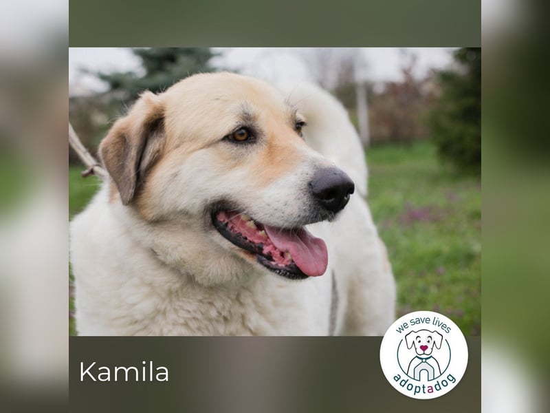 Kamila: Ruhige, liebe Seele