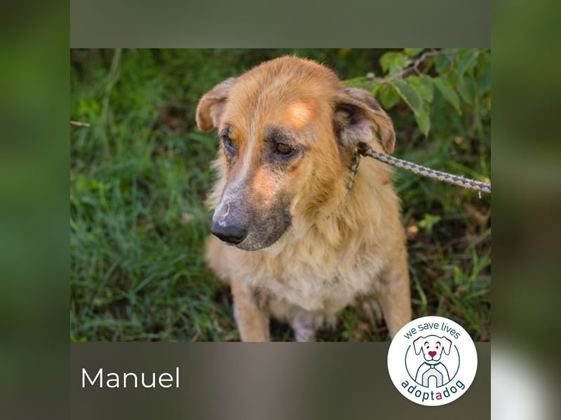 Manuel 2158930 sucht ein zu Hause