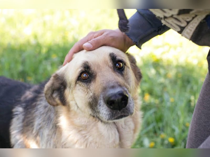 Chiku: Entspannt, entspannter, Chiku!