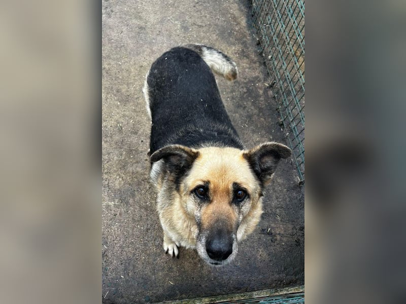 Chiku: Entspannt, entspannter, Chiku! Chiku: Entspannt, entspannter, Chiku!