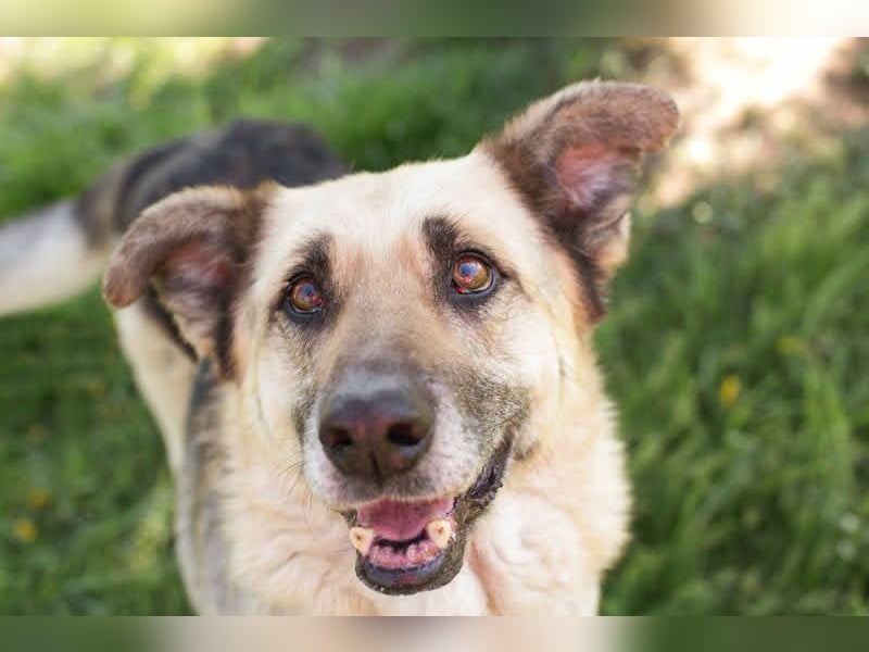 Chiku: Entspannt, entspannter, Chiku!