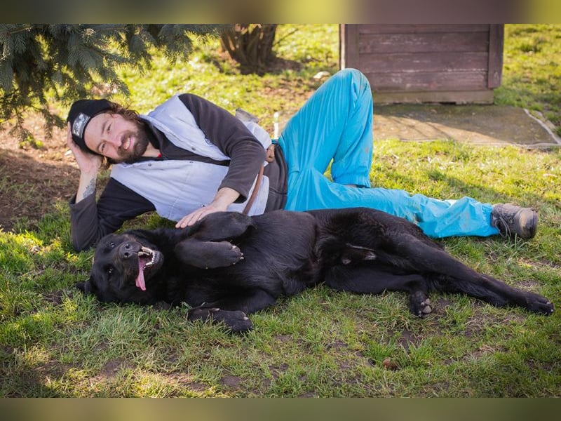 Knut sucht ein Zuhause