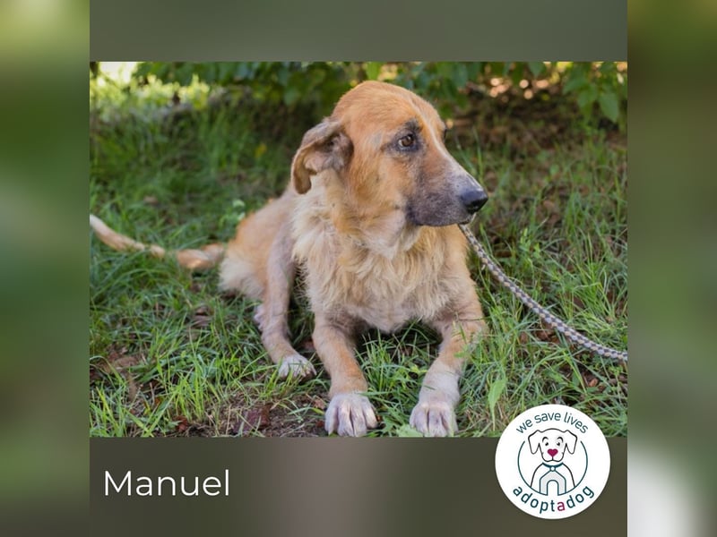 Manuel 2158930 sucht ein zu Hause