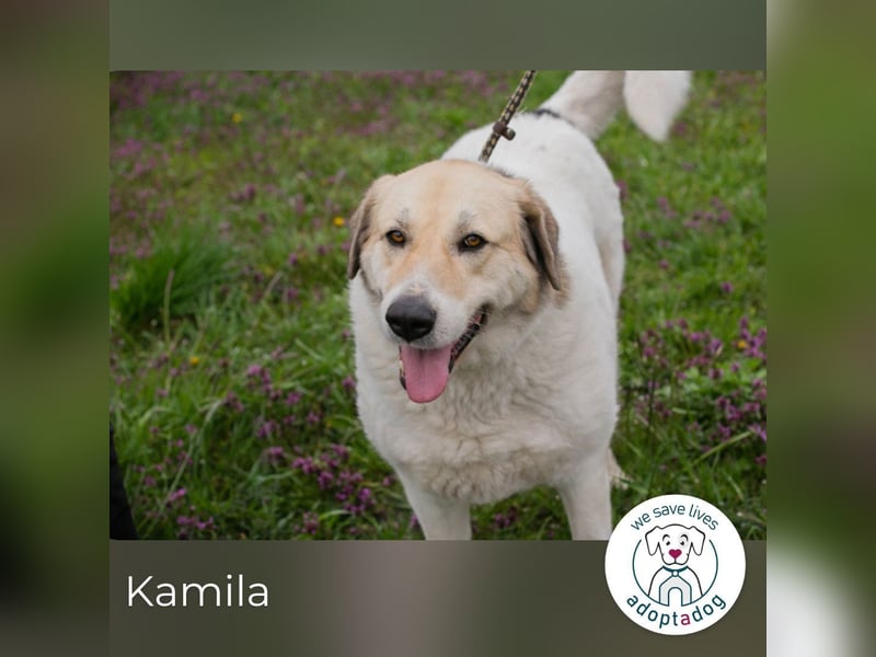 Kamila: Ruhige, liebe Seele