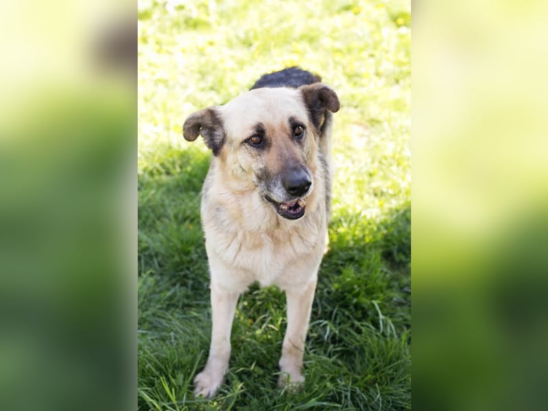 Chiku: Entspannt, entspannter, Chiku!