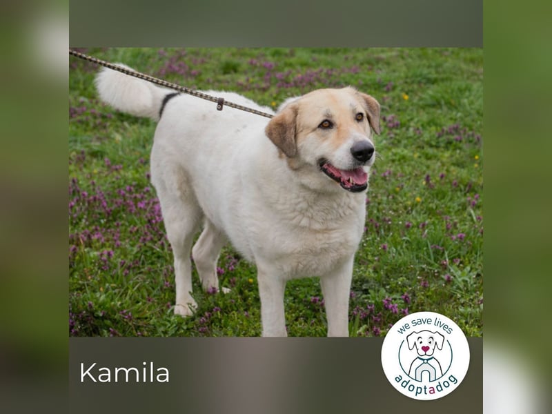 Kamila: Ruhige, liebe Seele