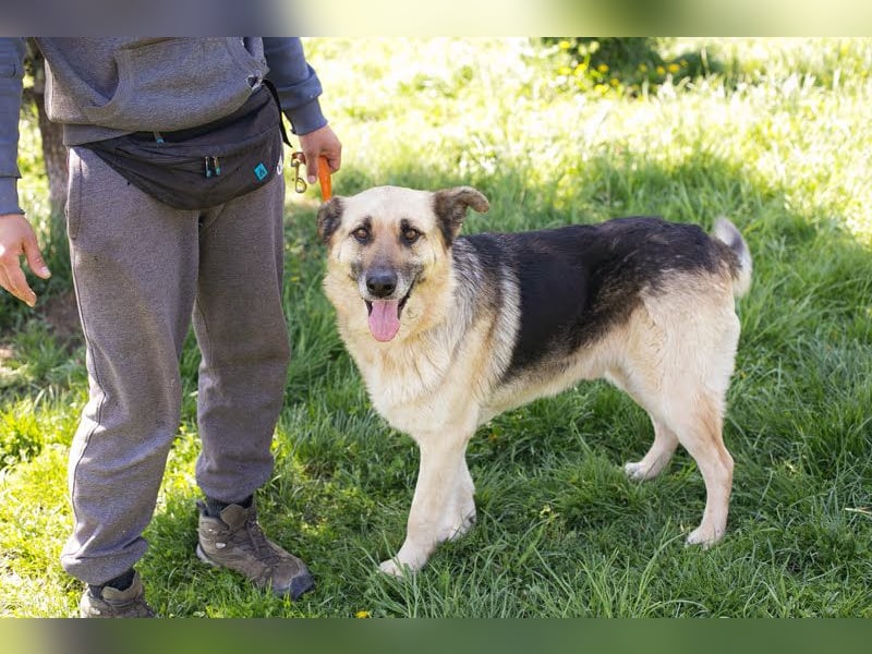 Chiku: Entspannt, entspannter, Chiku! Chiku: Entspannt, entspannter, Chiku!