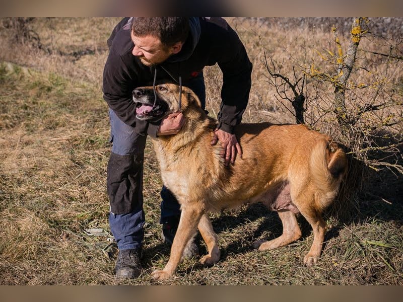 Koja: Ein Glücksbringer für dich