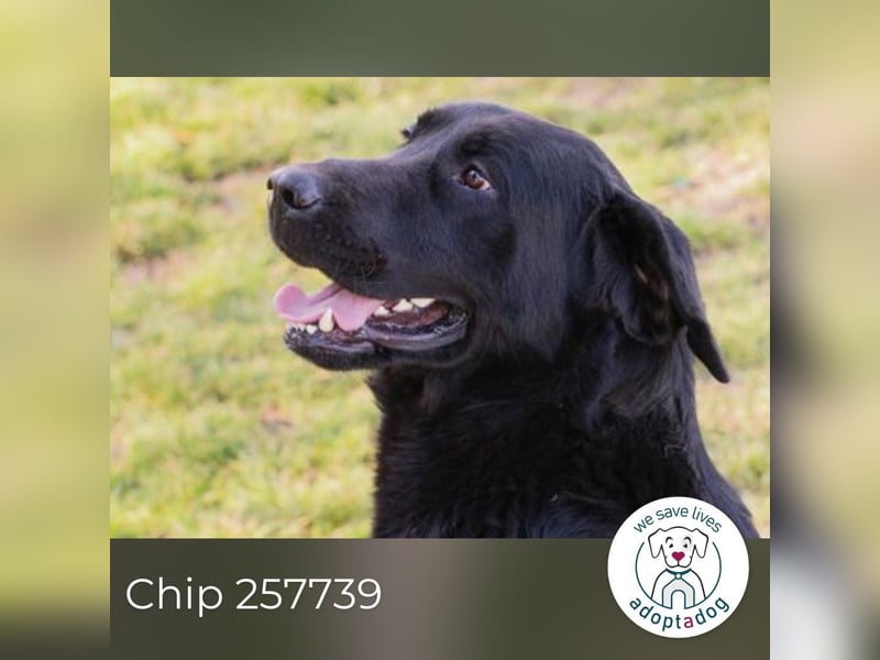 Knut sucht ein Zuhause