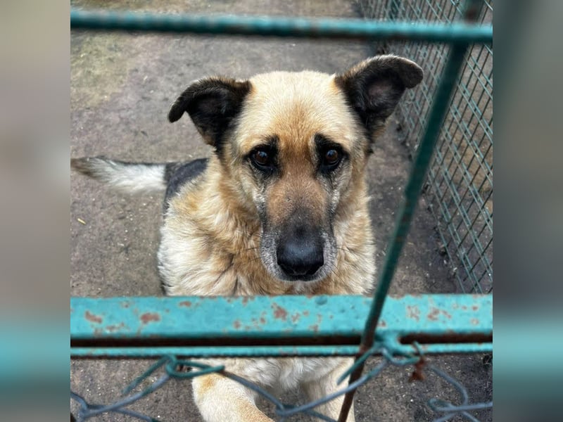 Chiku: Entspannt, entspannter, Chiku!