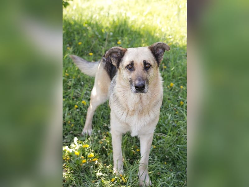 Chiku: Entspannt, entspannter, Chiku! Chiku: Entspannt, entspannter, Chiku!