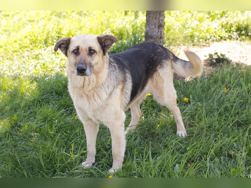 Chiku: Entspannt, entspannter, Chiku!