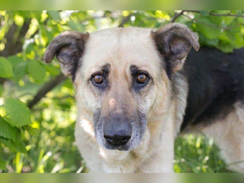 Chiku: Entspannt, entspannter, Chiku!